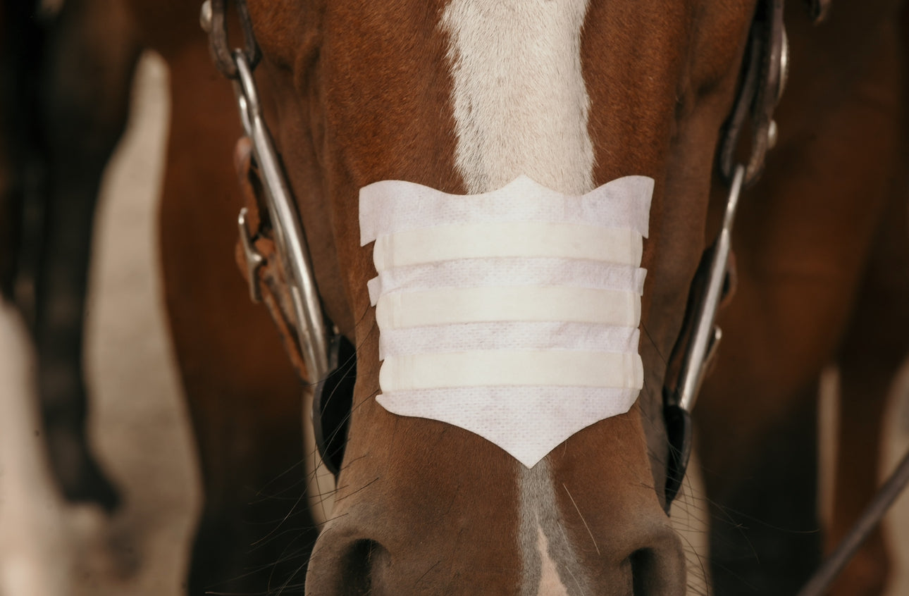 Flair Nasal Strips