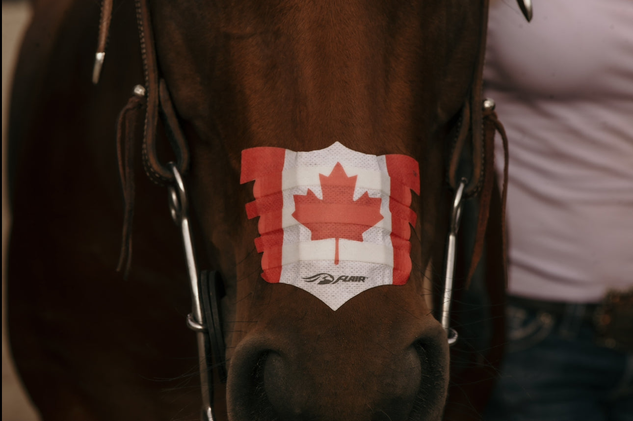 Flair Nasal Strips