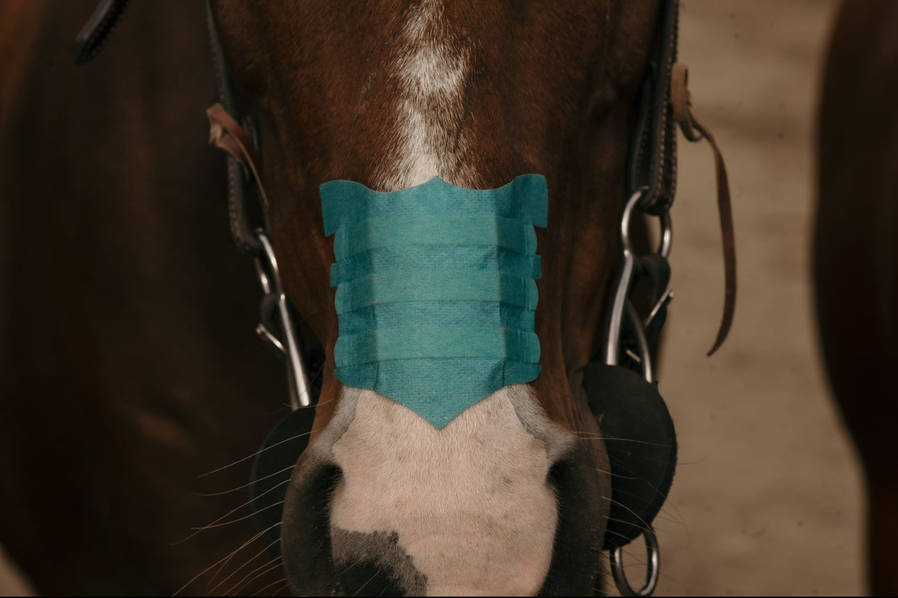 Flair Nasal Strips