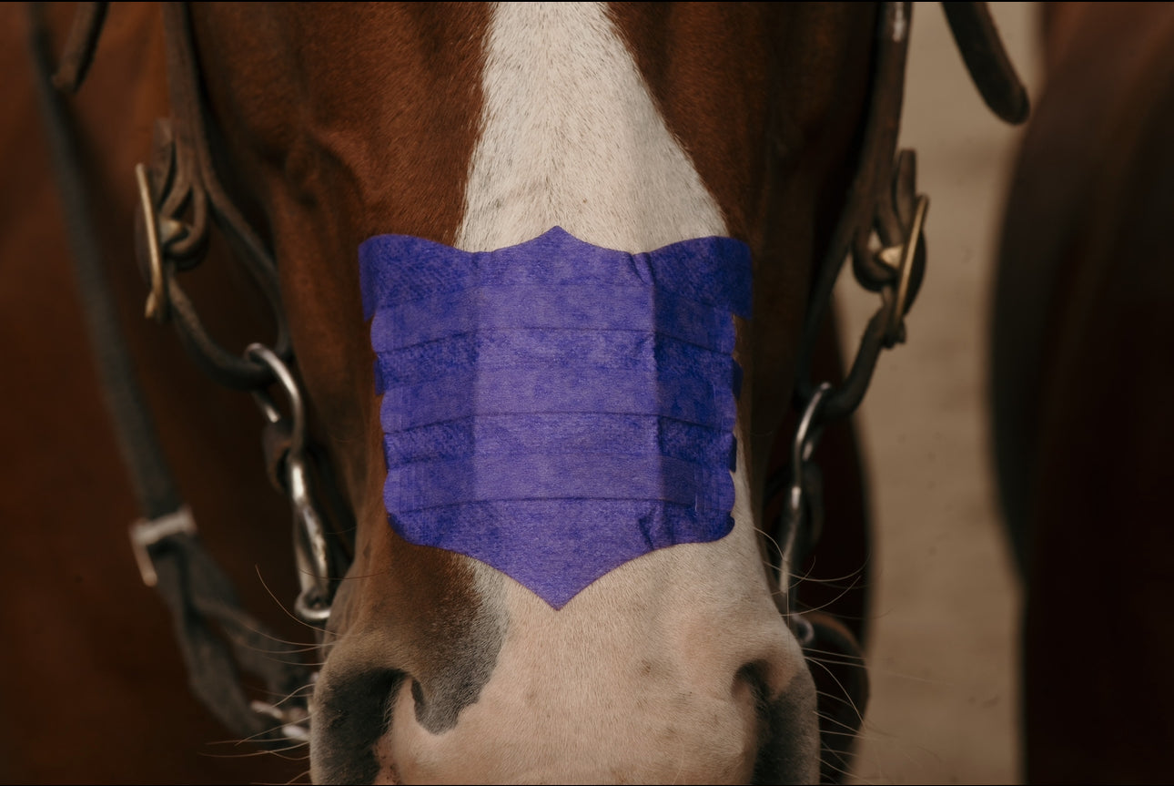 Flair Nasal Strips