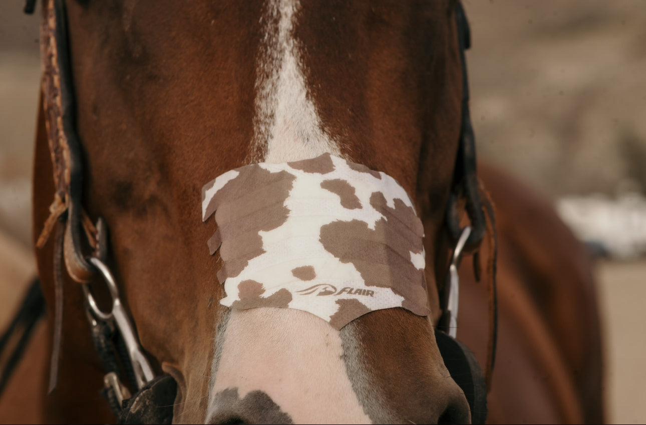 Flair Nasal Strips