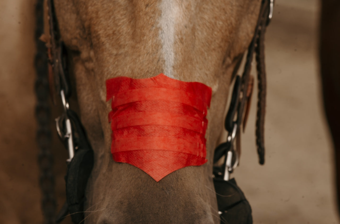 Flair Nasal Strips
