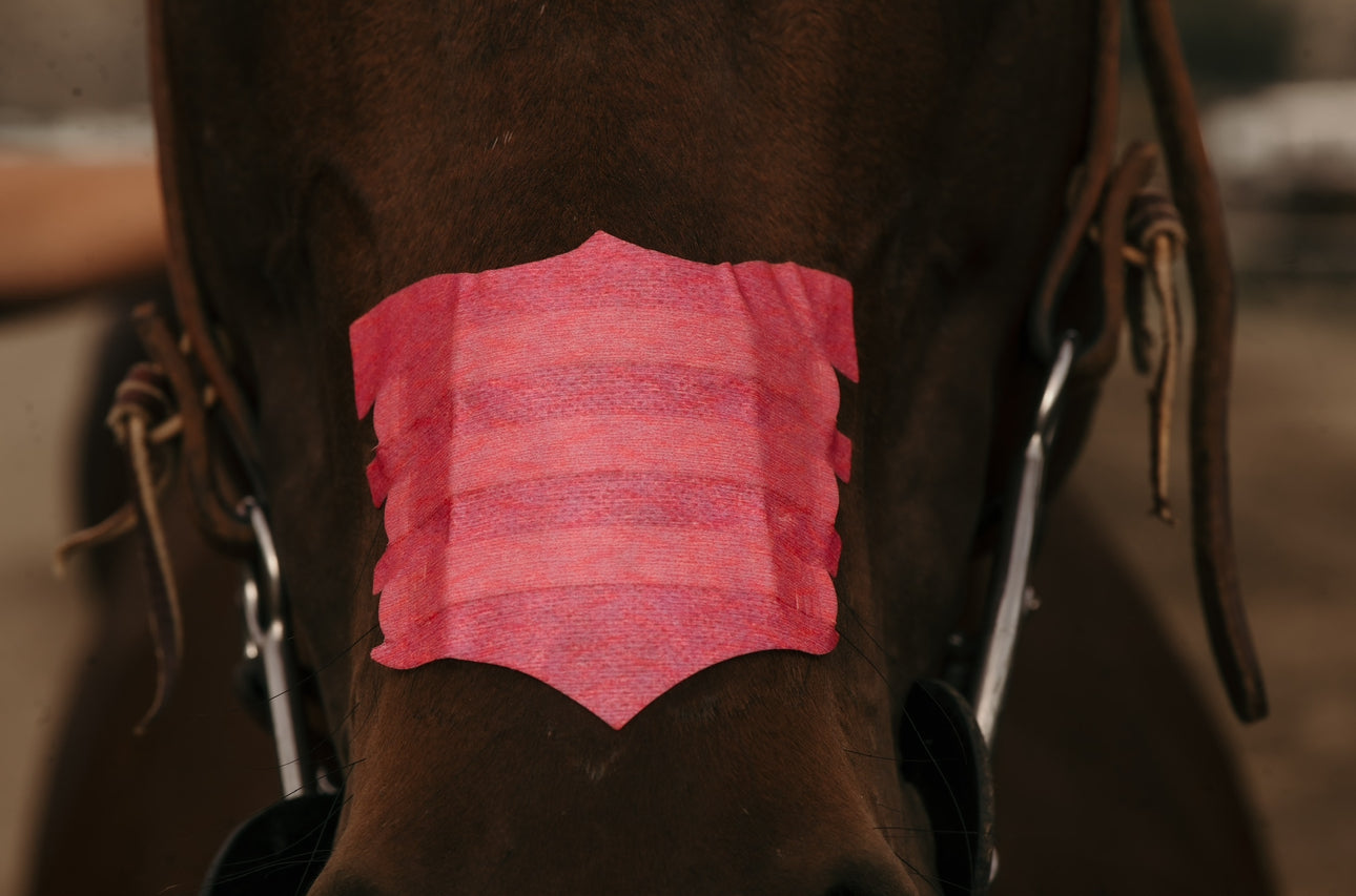 Flair Nasal Strips