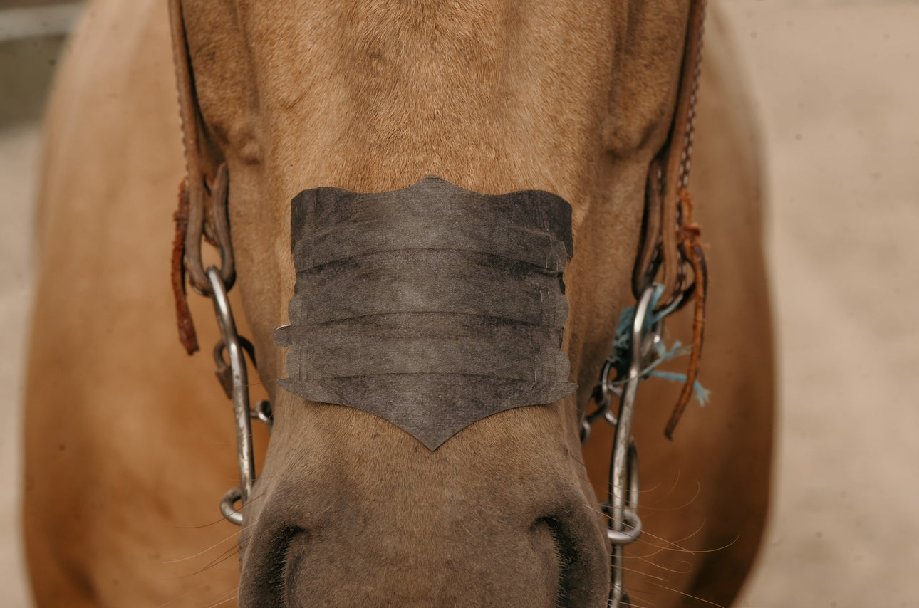 Flair Nasal Strips