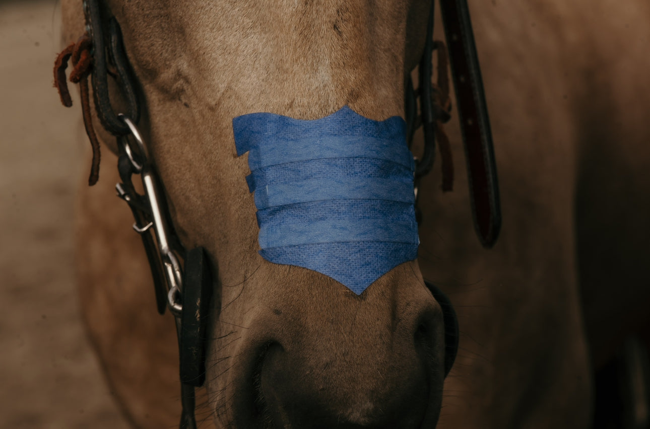 Flair Nasal Strips