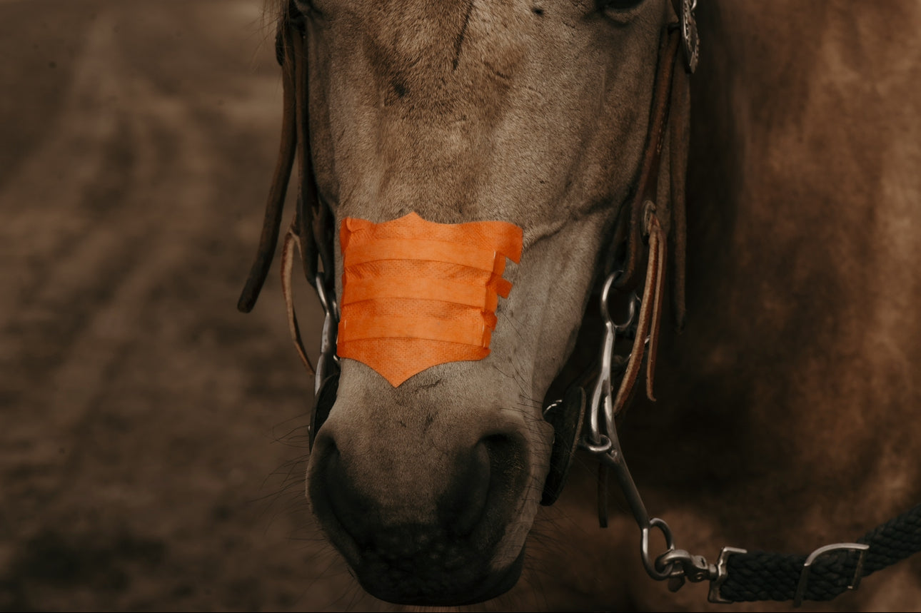 Flair Nasal Strips