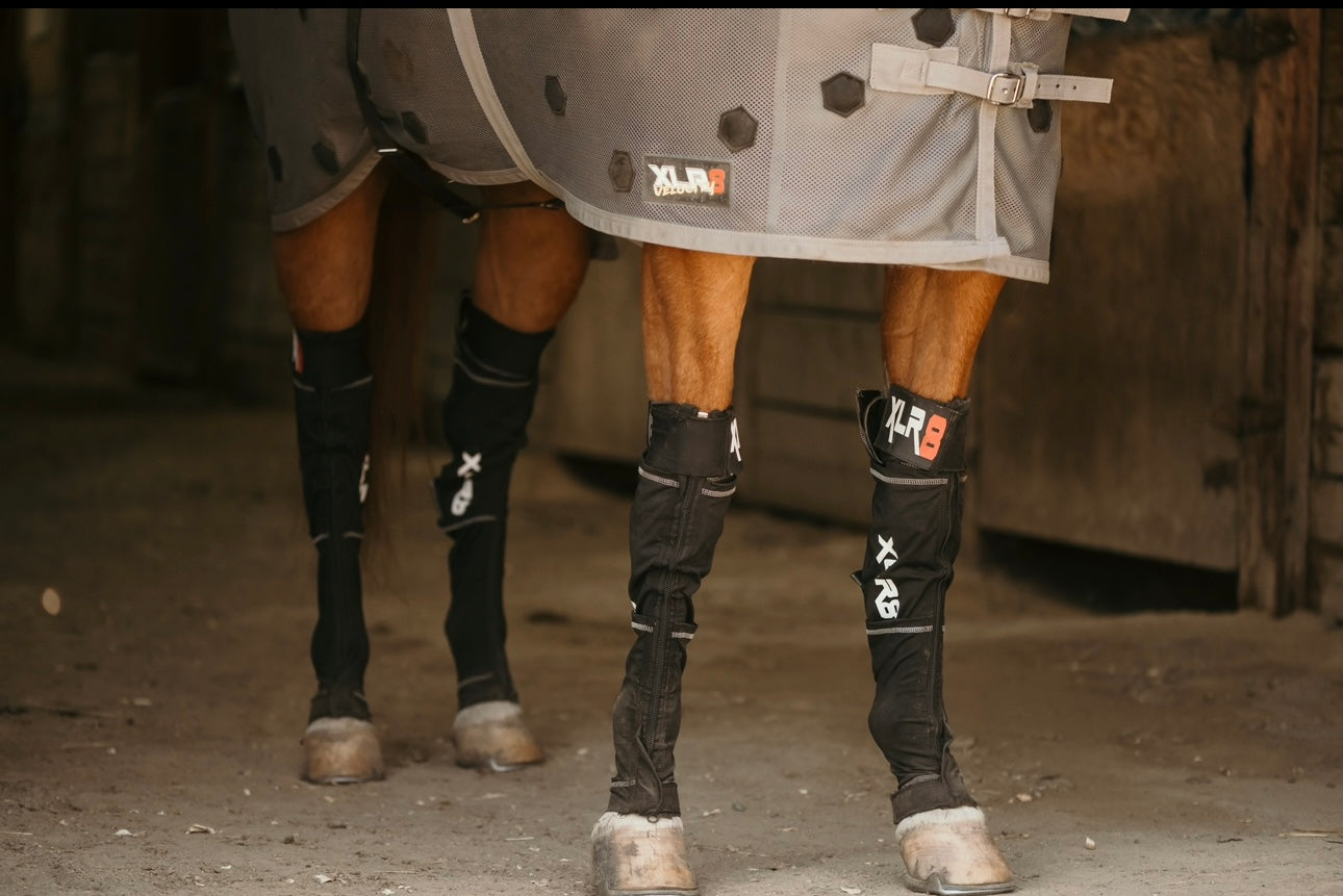 XLR8 Cryo Boot