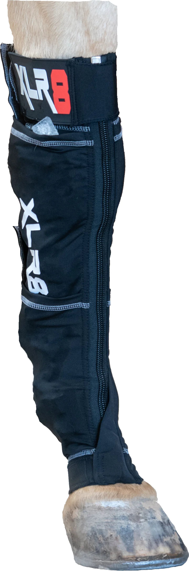 XLR8 Cryo Boot