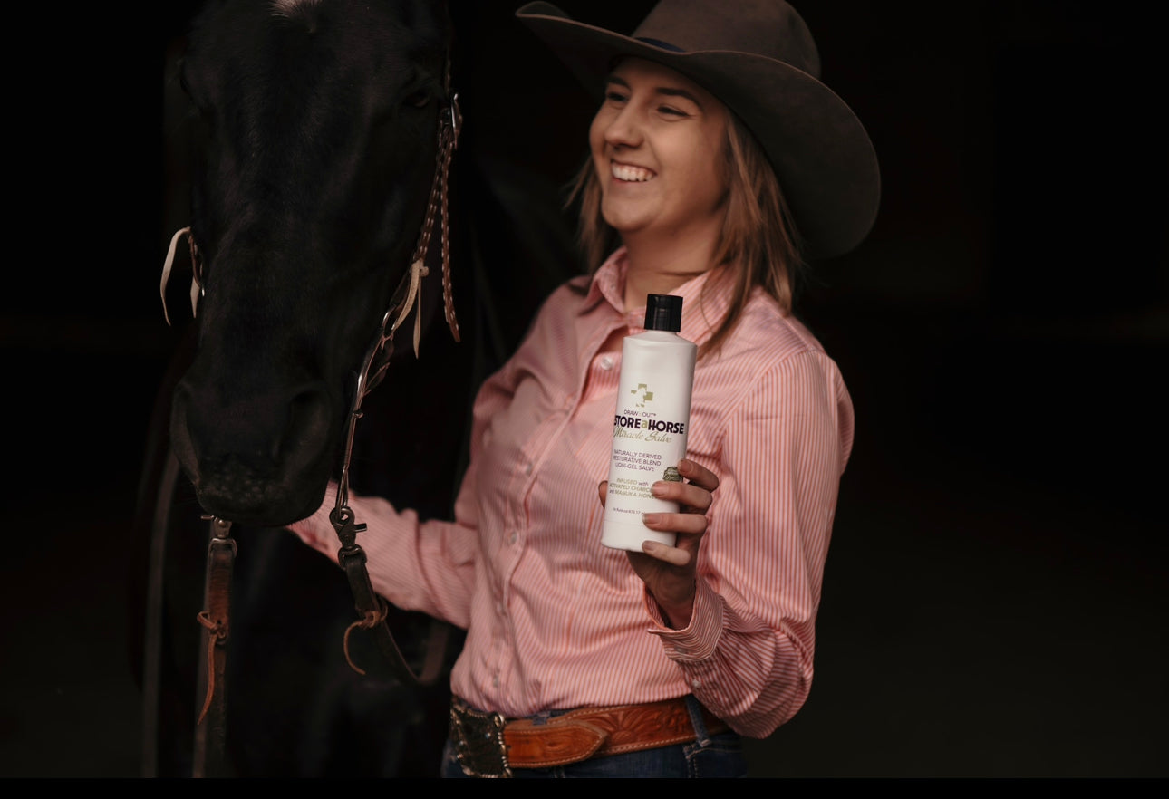 Draw It Out Restore a Horse