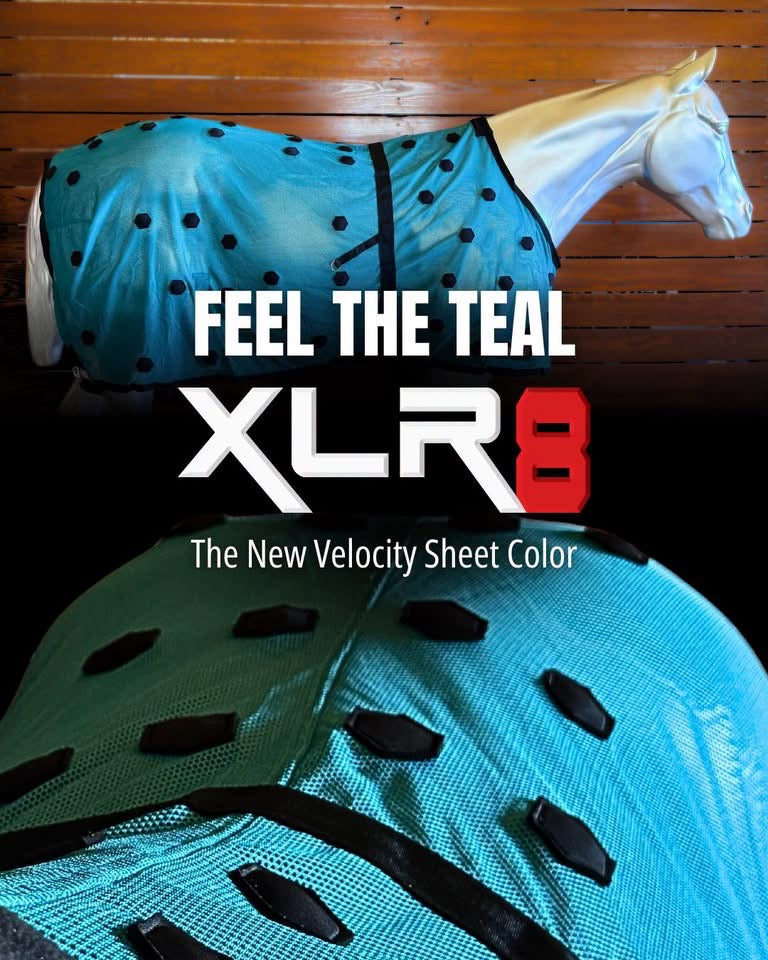 XLR8 Velocity Sheet