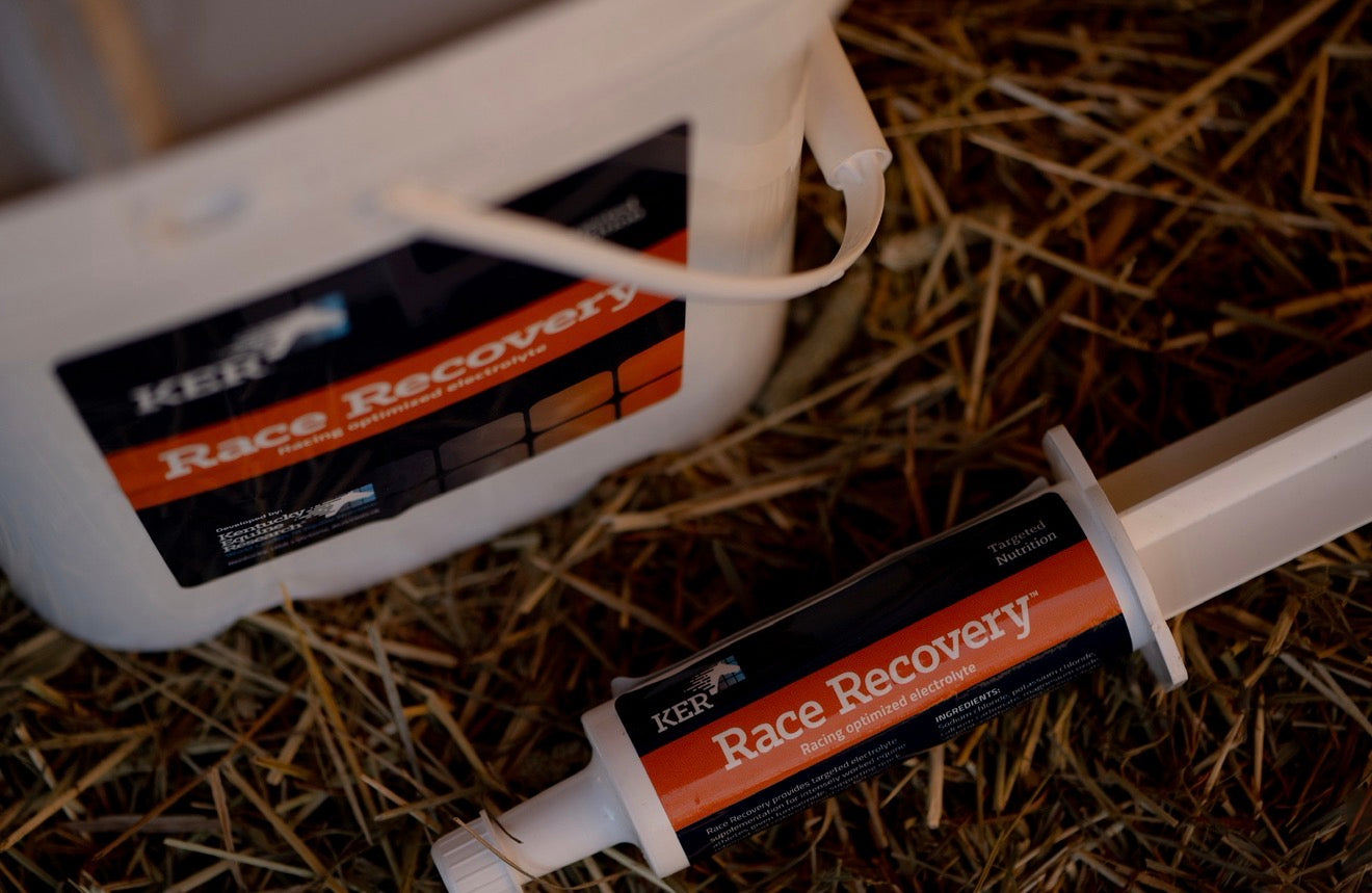 Recovery Paste