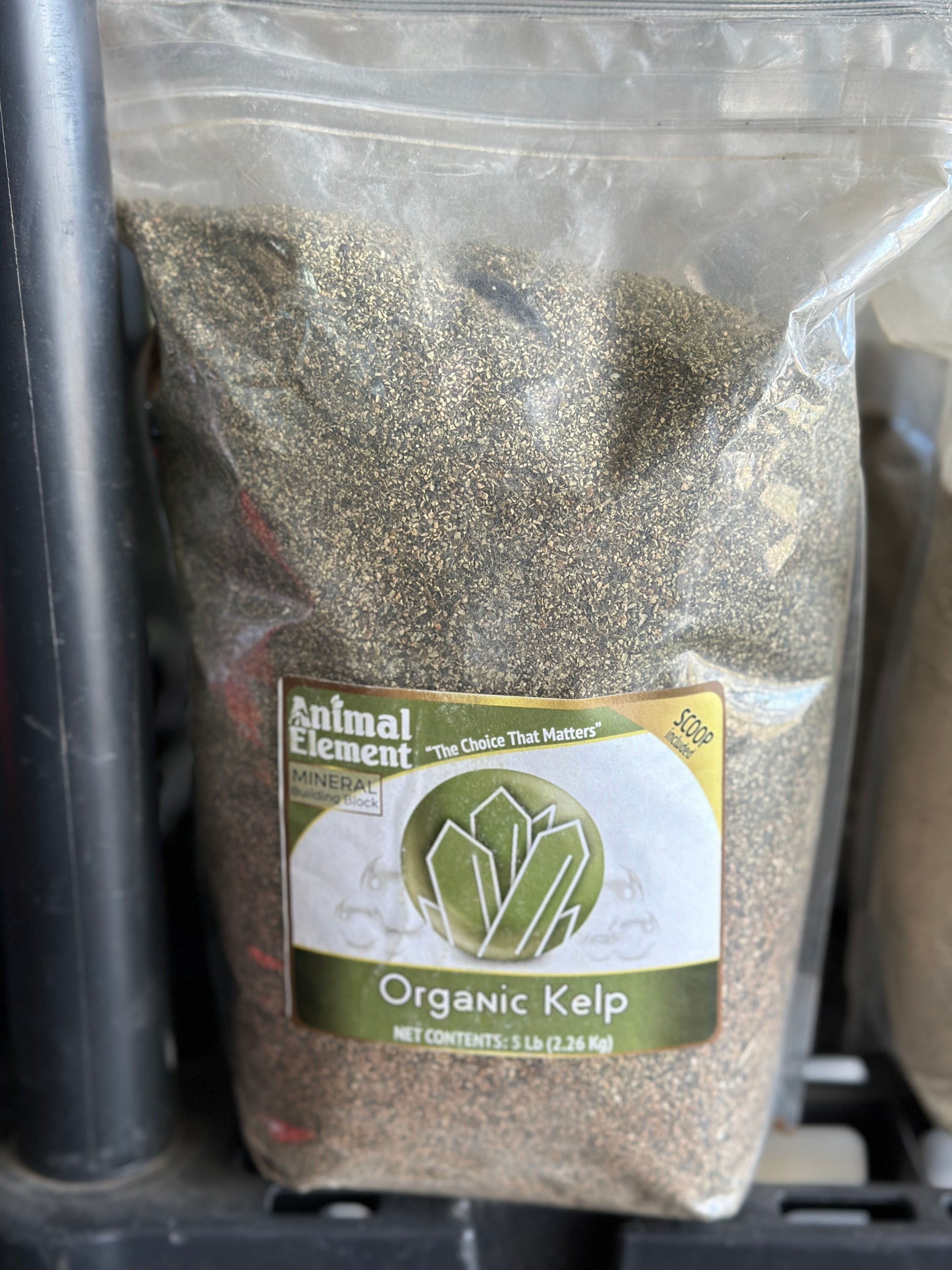 Organic Kelp