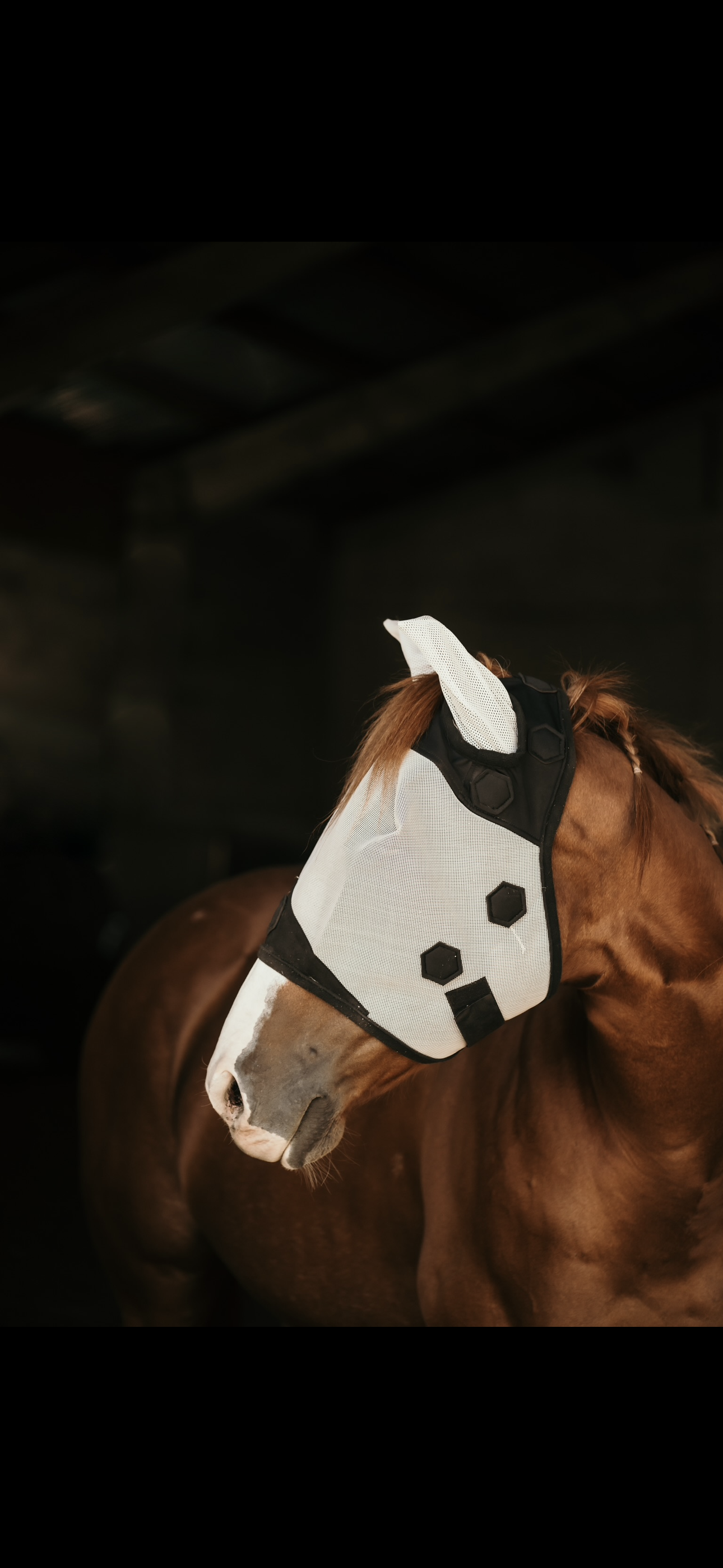 XLR8 Fly Mask