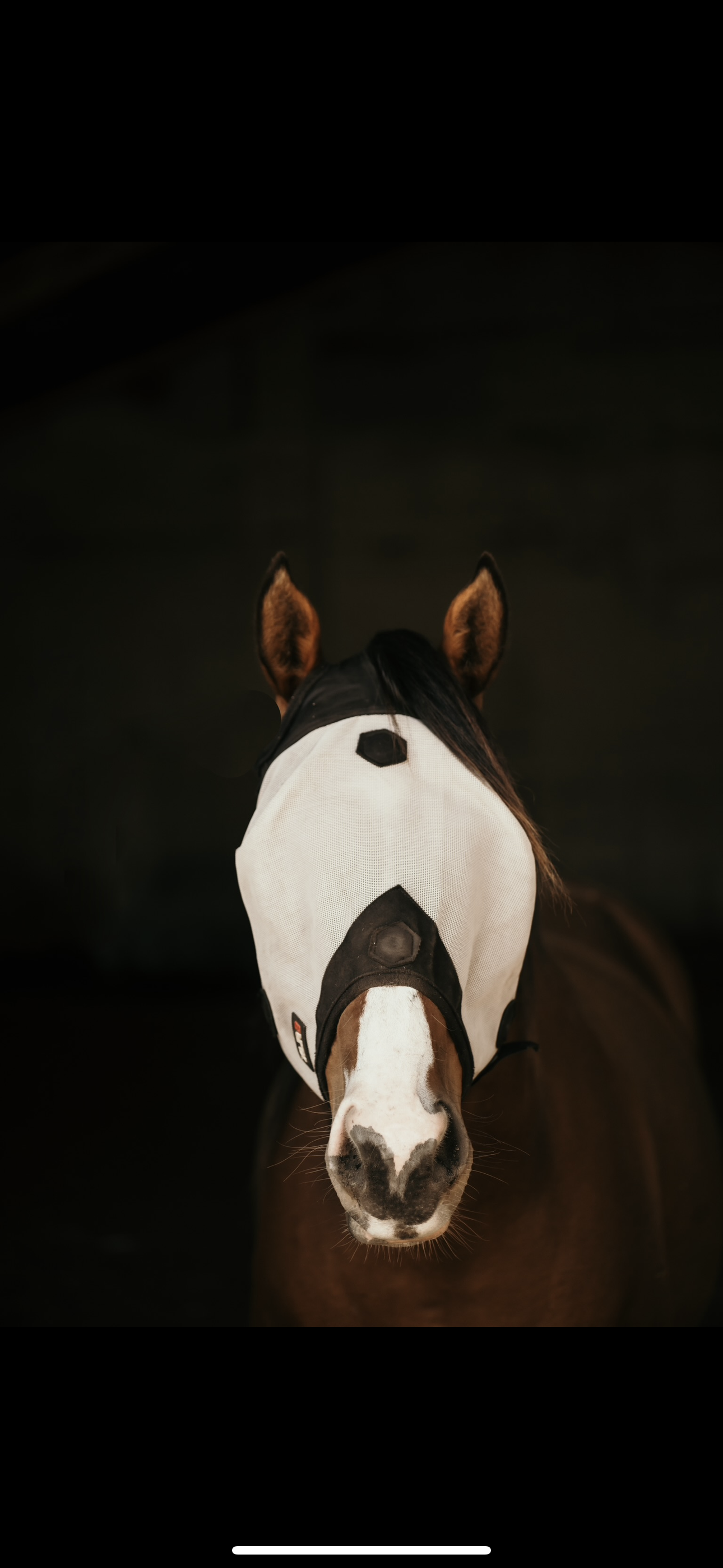 XLR8 Fly Mask