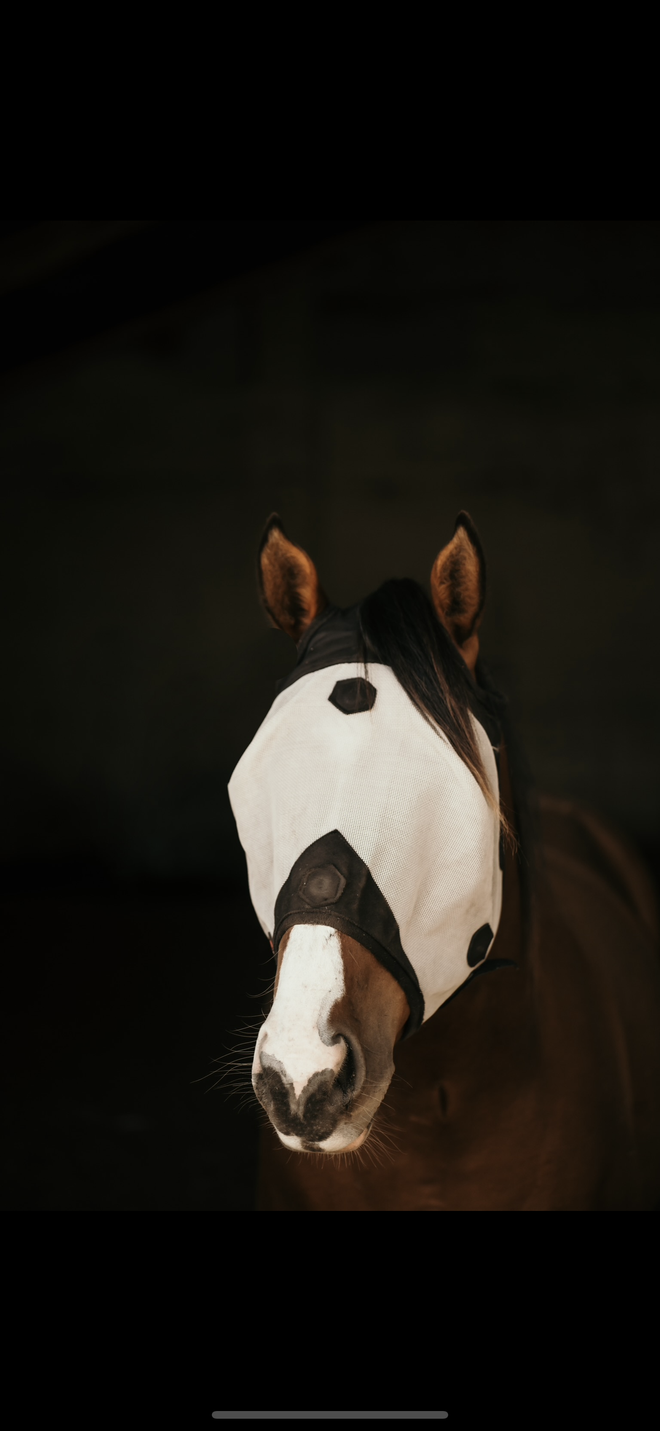 XLR8 Fly Mask