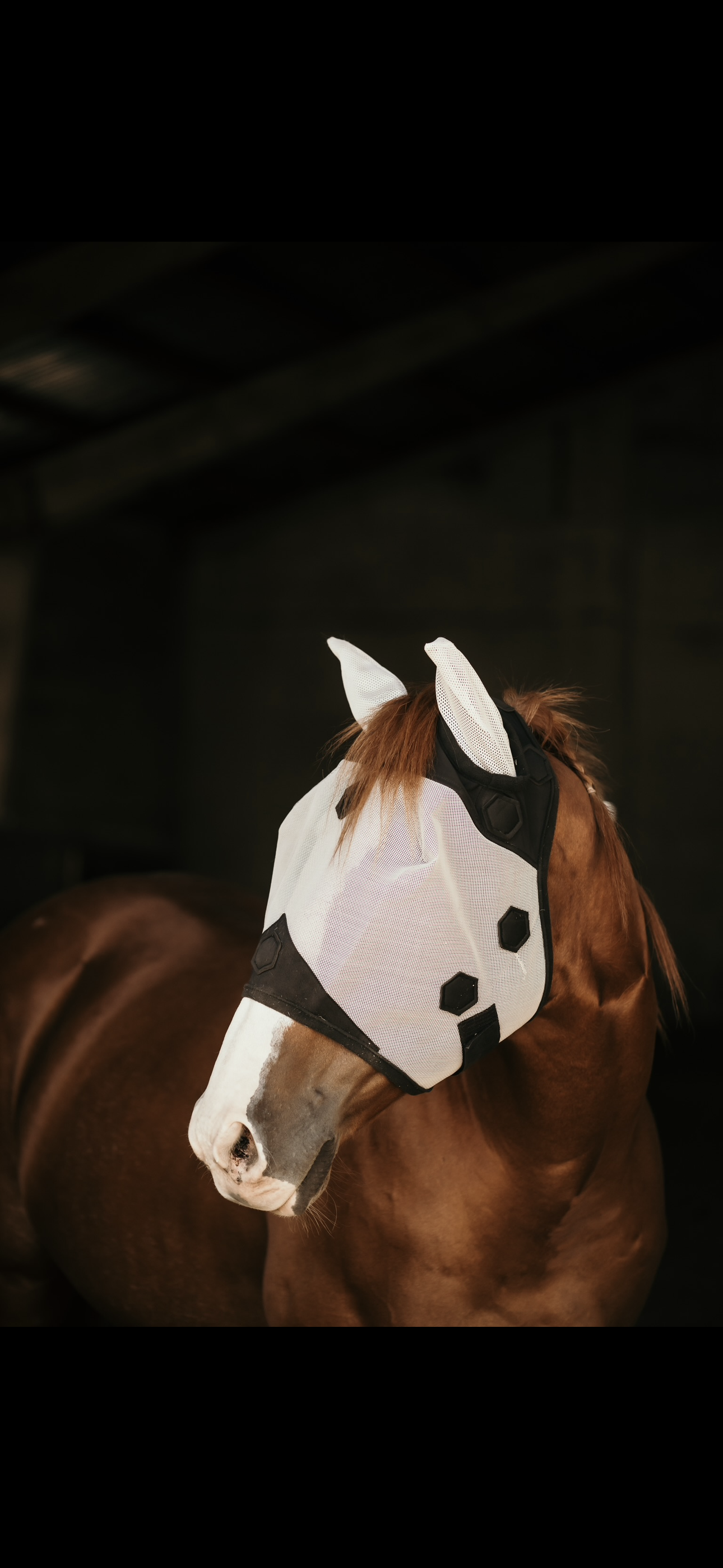 XLR8 Fly Mask