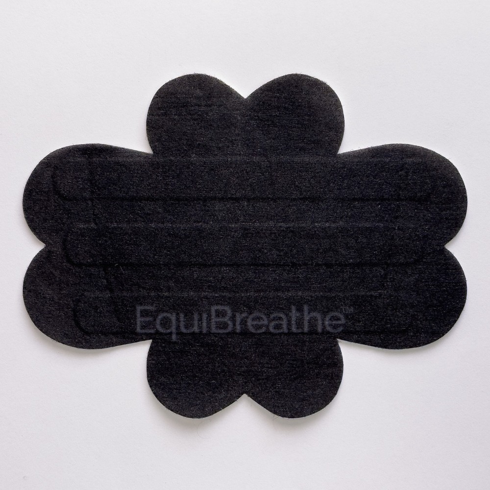 Equibreathe